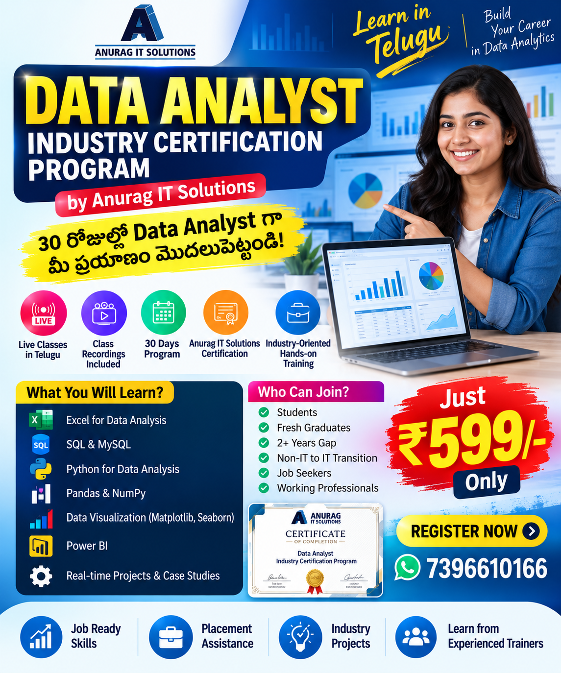 Data Analyst Industry Certification Program poster